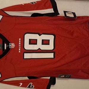 Nike Calvin ridley falcons jersey